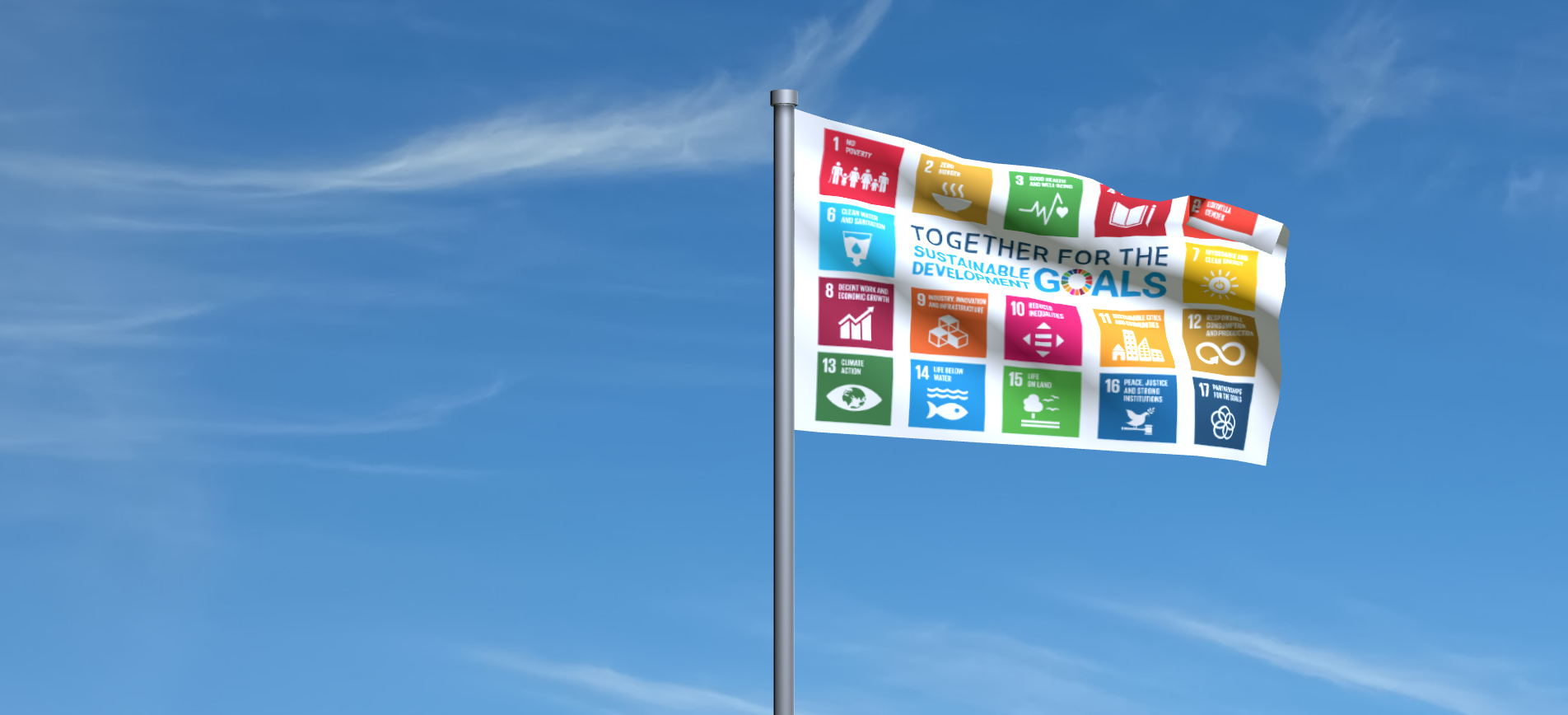 SDG FLag Day